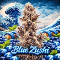 Image of Blue Zushi - Gelato Seeds