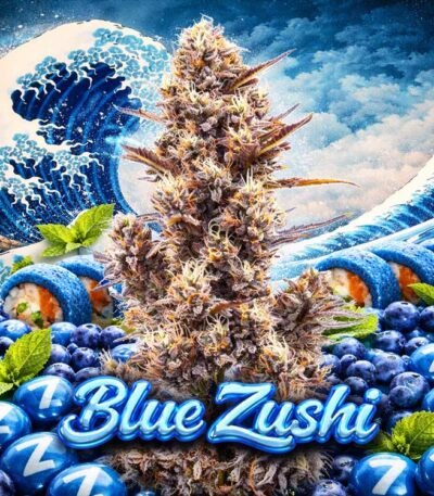 Image of Blue Zushi - Gelato Seeds