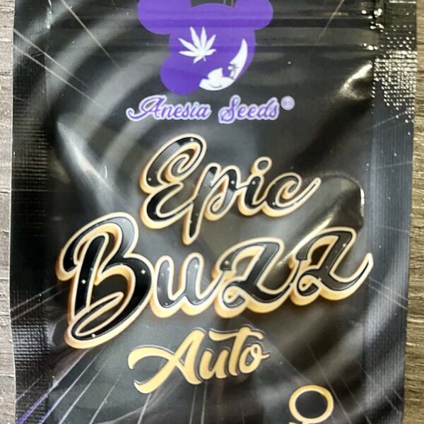 Image of Epic Buzz Auto - Anesia Seeds 88 5 seeds - Gelato Seeds