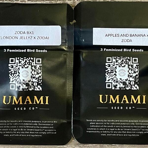 Image of Zoda - Umami Seeds - Gelato Seeds