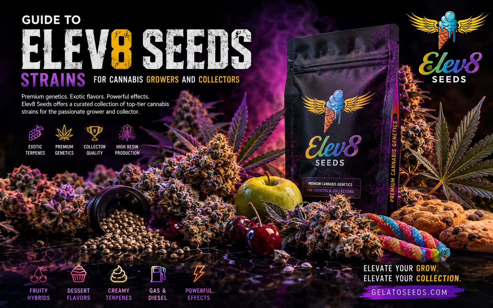 Elev8 Seeds Strains