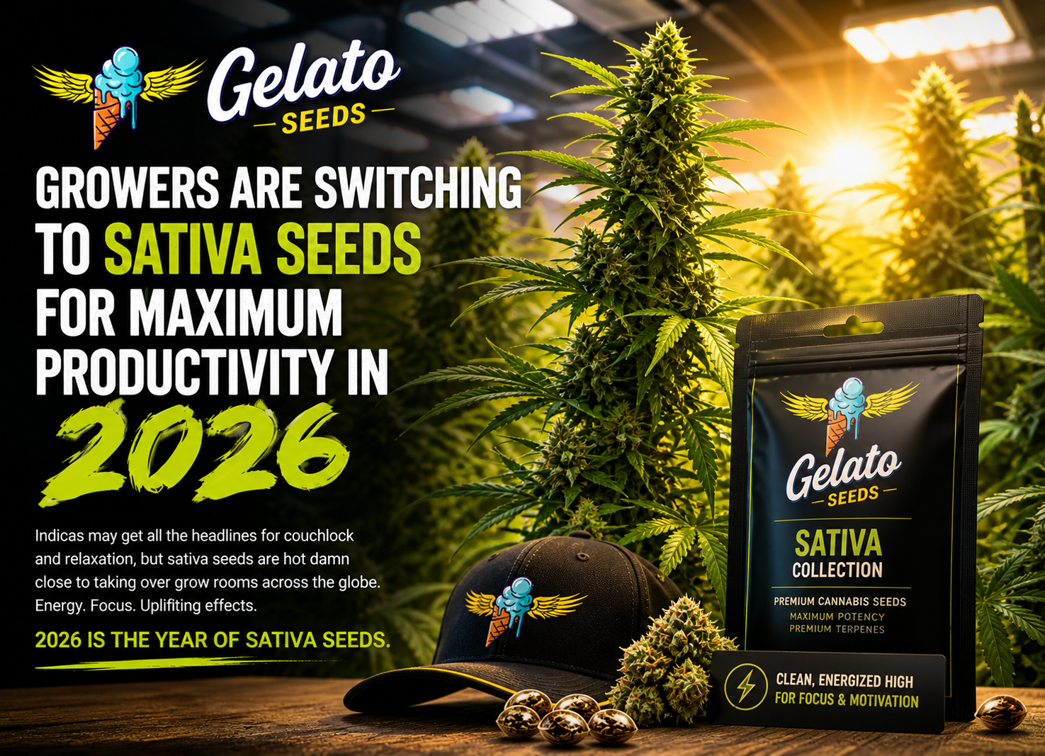 Why Sativa Seeds Are Dominating Grow Rooms in 2026