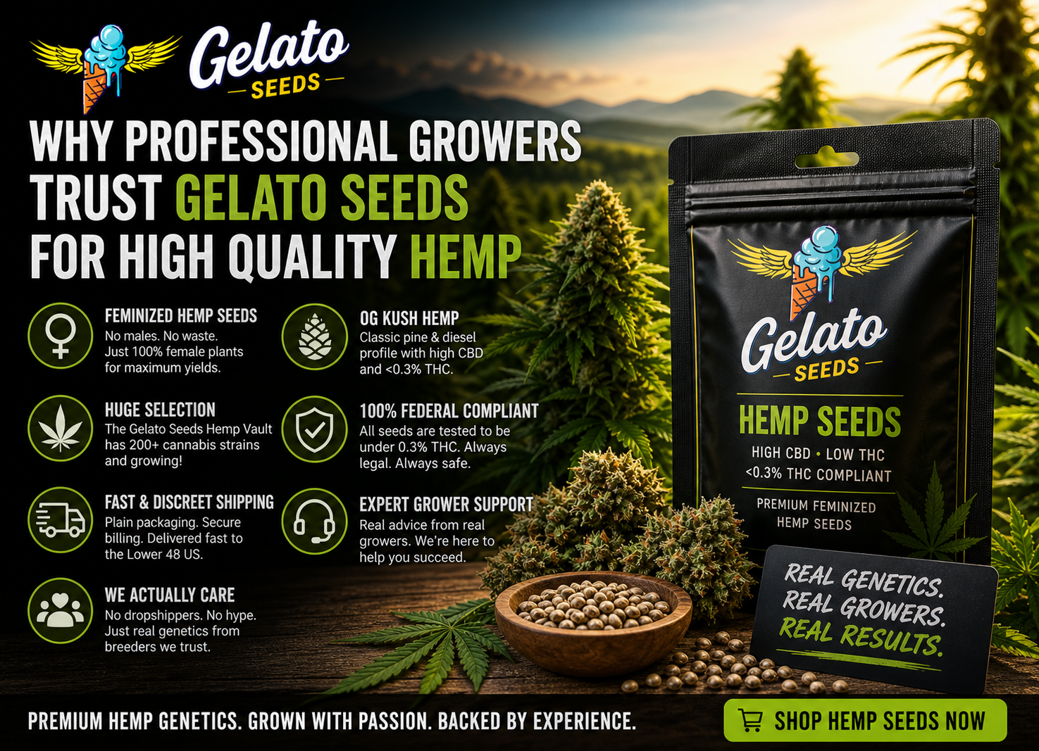 Why Growers Trust Gelato Seeds for Quality Hemp Seeds