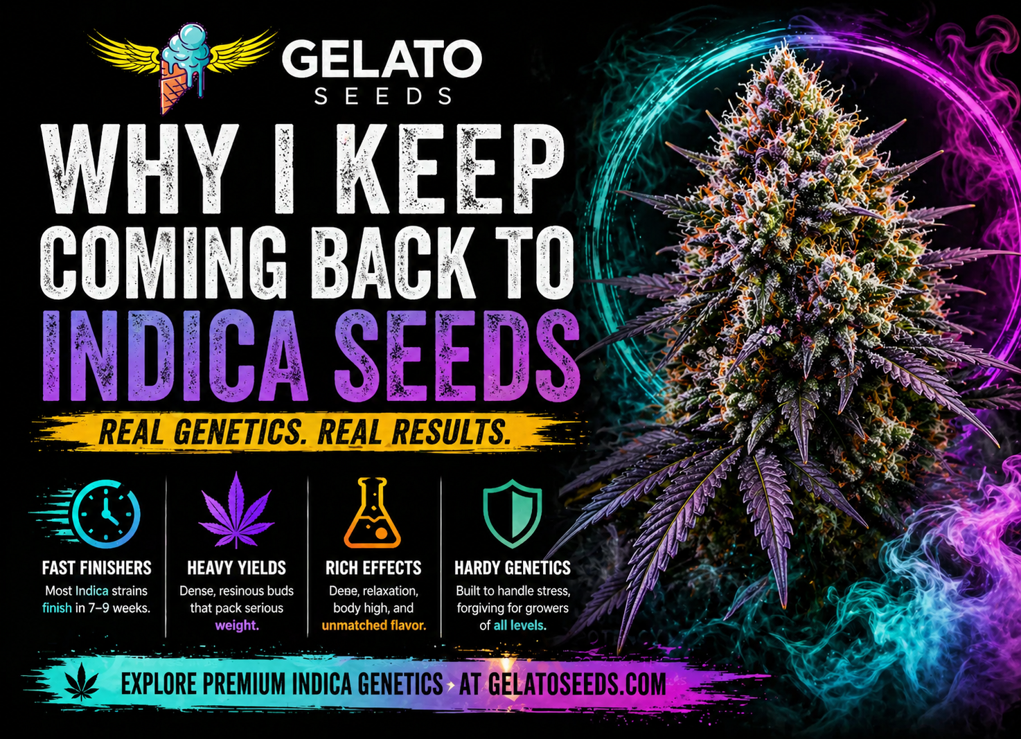 Why I Keep Coming Back to Indica Seeds for Growing