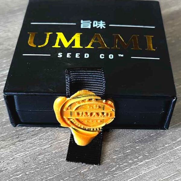 Image of Purple Ink-Umami Seed Co 88 5 seeds - Gelato Seeds