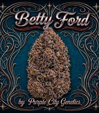 Thumbnail for Betty Ford 1207 3+1 seeds - Gelato Seeds