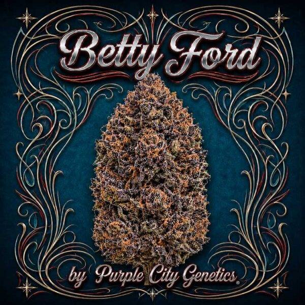 Thumbnail for Betty Ford 1207 3+1 seeds - Gelato Seeds